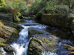 Bodnant Gardens
